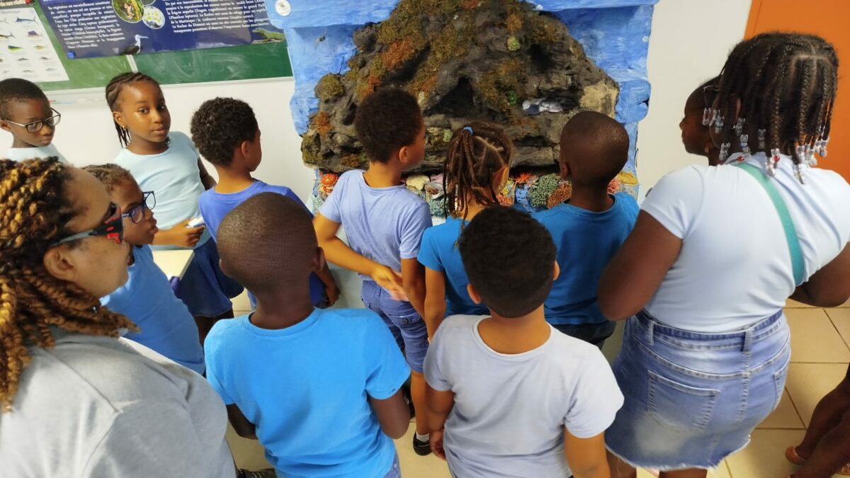 « Découvrir pour mieux protéger : les élèves de Petite Anse explorent le Rocher du Diamant »