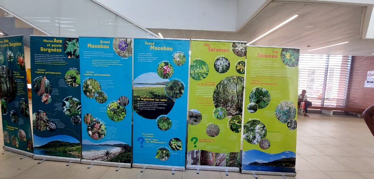 Exposition itinérante « Flore et habitats du Sud-Martinique »