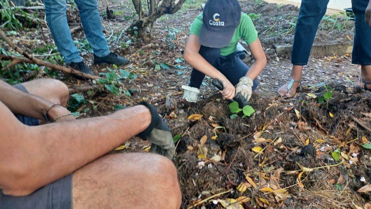 Défi Ti Manmay : des ateliers pour jardiner en famille et manger local