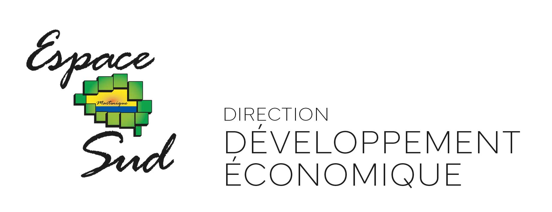Le développement économique du Sud