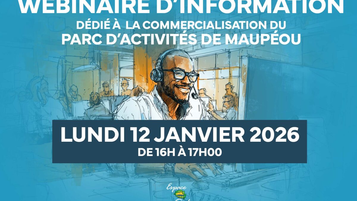 Parc d’activités de MAUPEOU : wébinaire d’information lundi 12 janvier 2026, de 16h à 17h00.