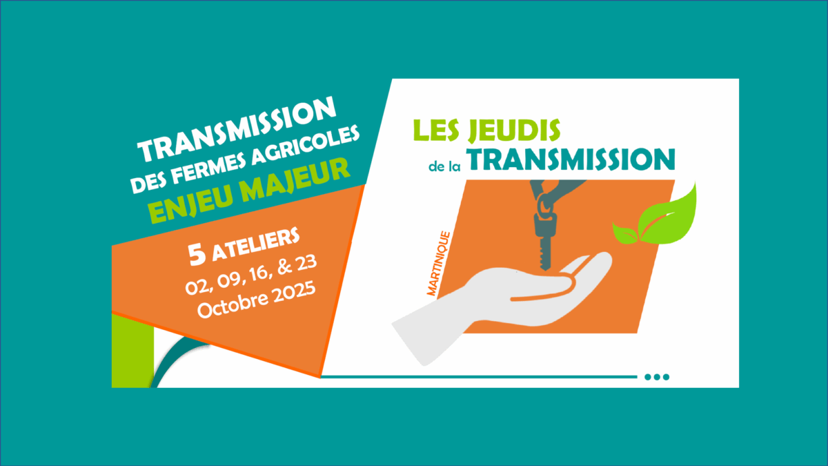 Les Jeudis de la transmission