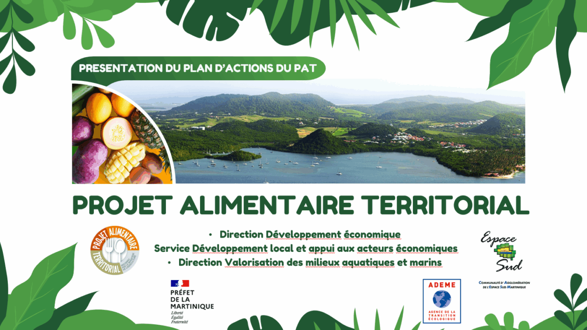 Le PAT de l’Espace Sud en actions