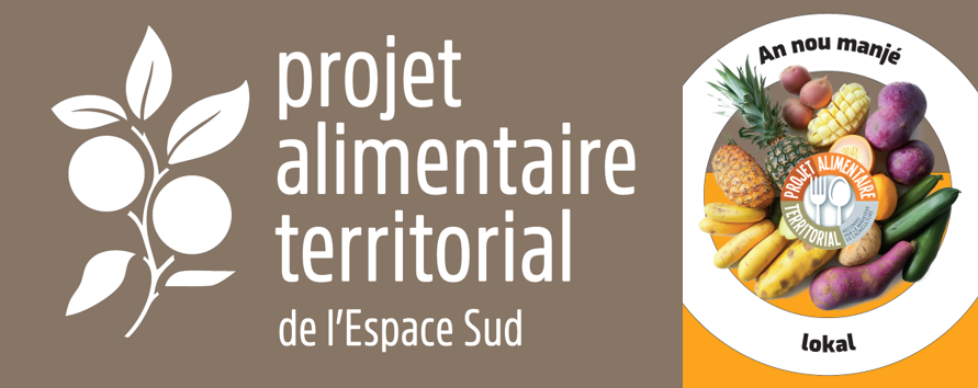 Le PAT en 2025 : une année charnière, du diagnostic à l’action