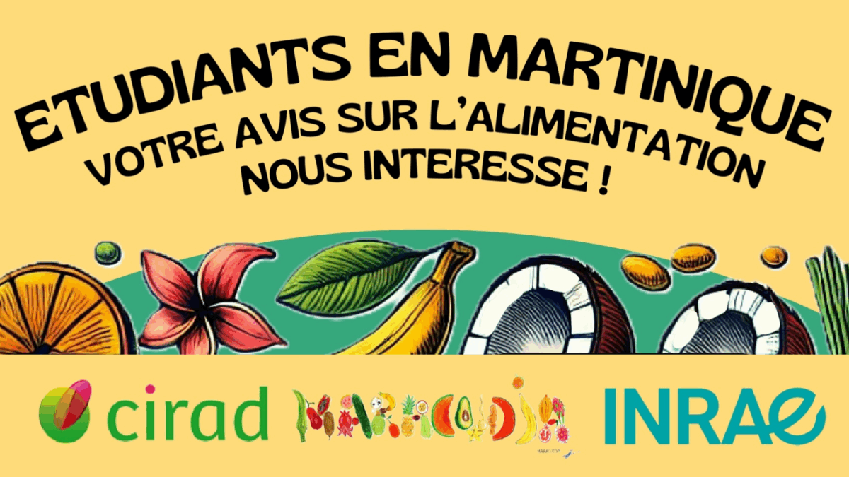 Participez à une étude sur les choix alimentaires des étudiants