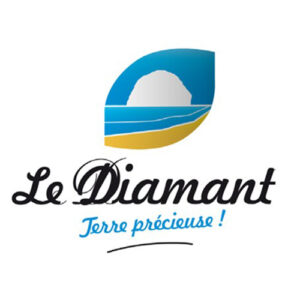 logo-VILLe_DIAMANT