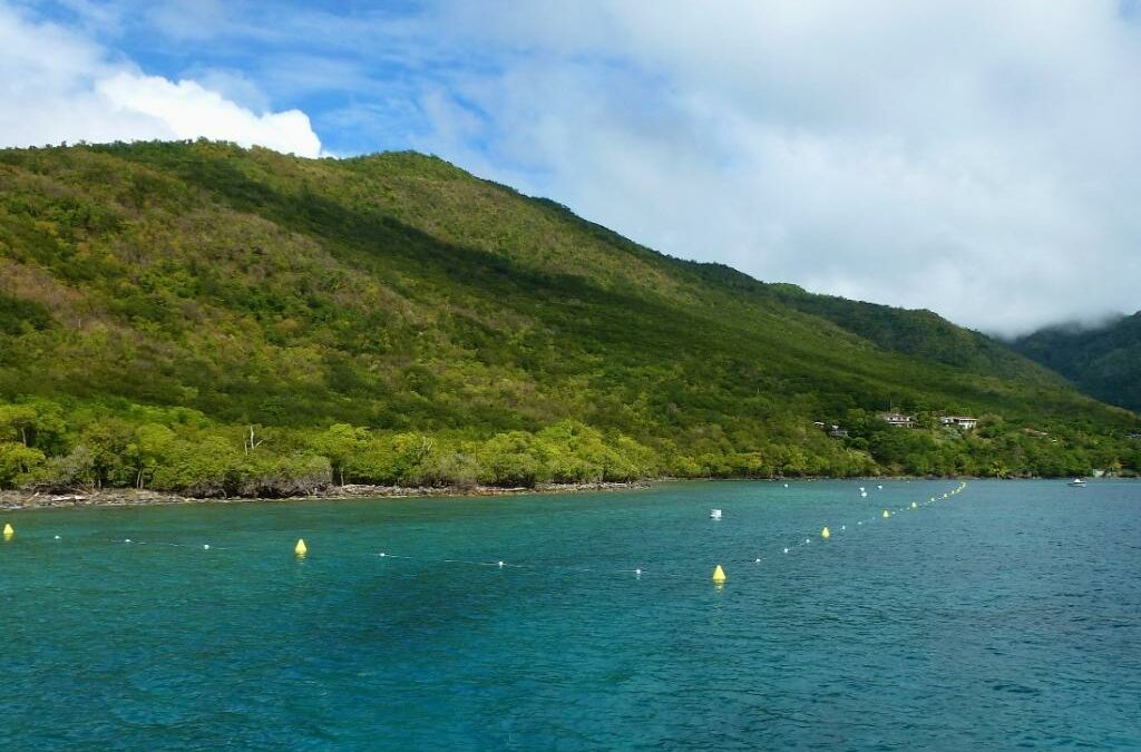 Le sentier sous-marin de Grande-Anse (Cap Salomon)