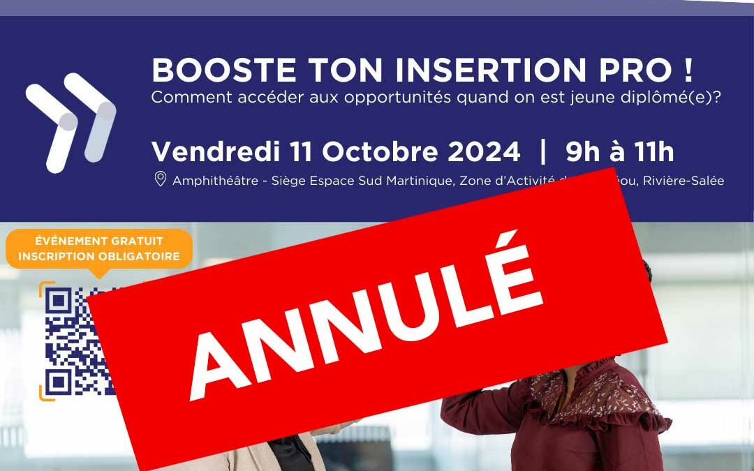 Booste ton insertion pro ! Vendredi 11 octobre 2024 (annulé)