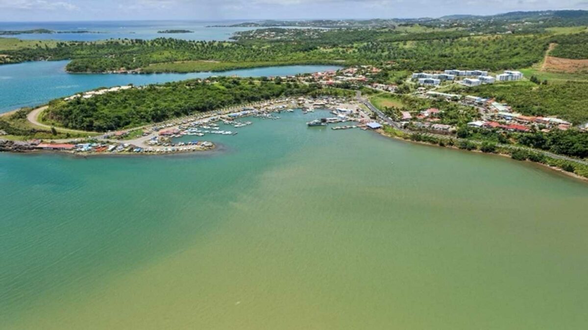 Etudes pour la création de balades et d’itinéraires écotouristiques bleus et verts sur le territoire Sud Martinique