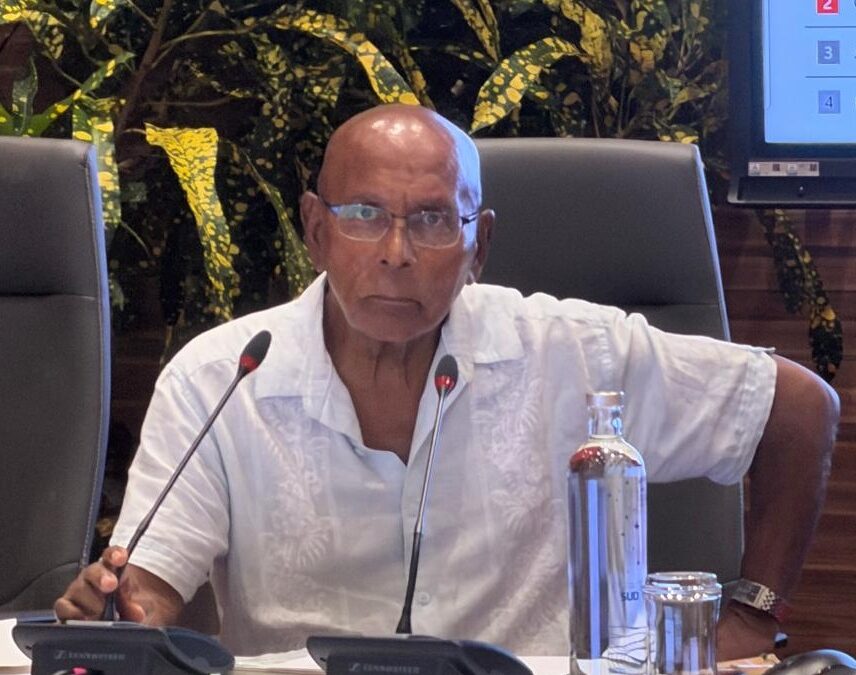 Faire avancer le Sud Martinique grâce à l’intelligence collective!